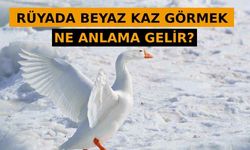 Rüyada Beyaz Kaz Görmek Ne Anlama Gelir, Neye İşarettir? Anlamı, Yorumu